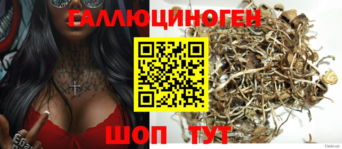 Псилоцибиновые грибы мухоморы Грязи